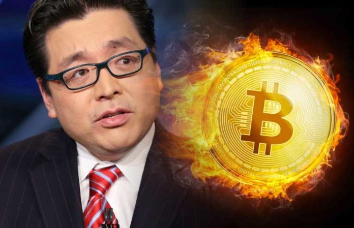 tom lee and bitcoin