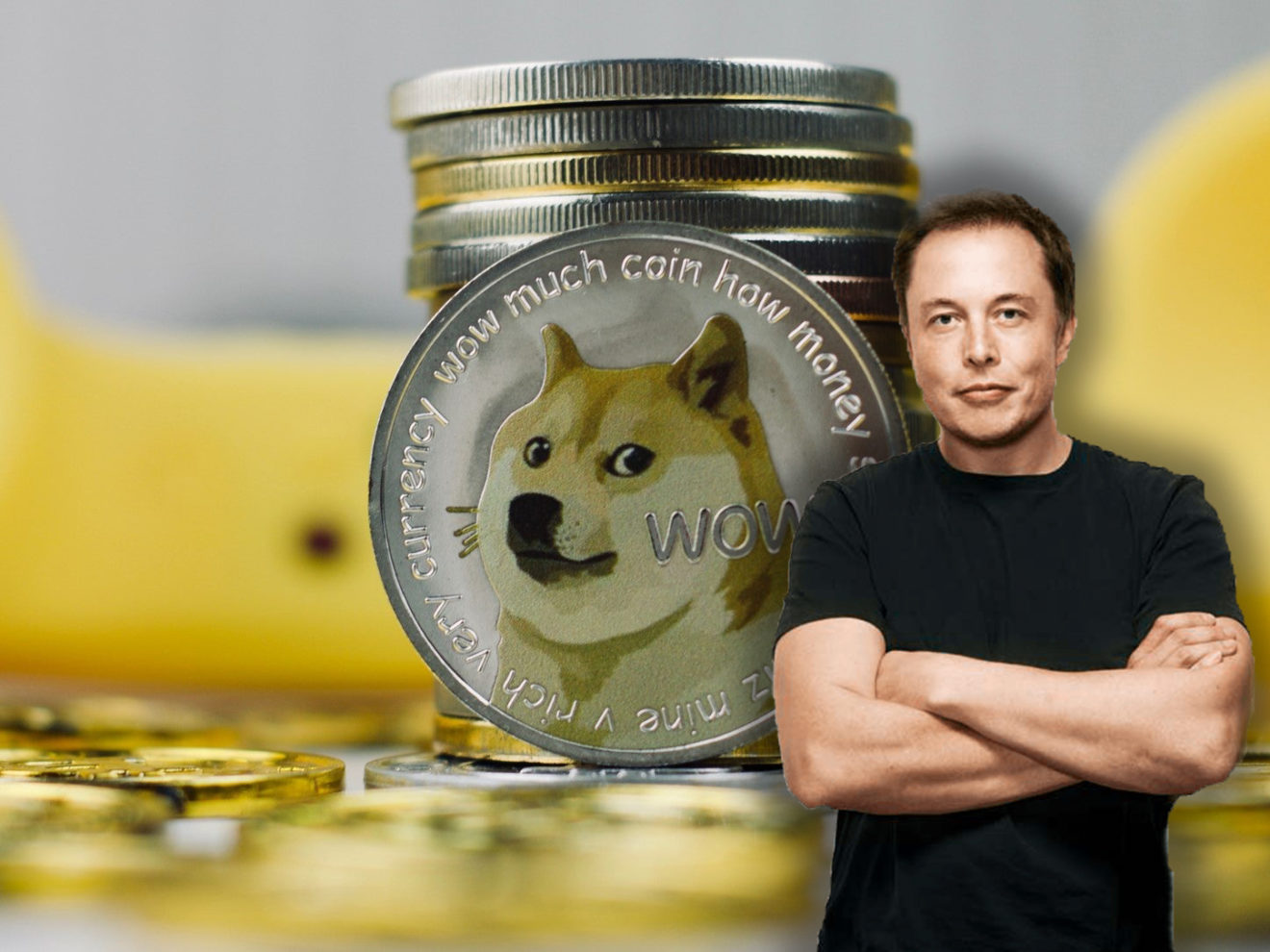 doge elon musk coin