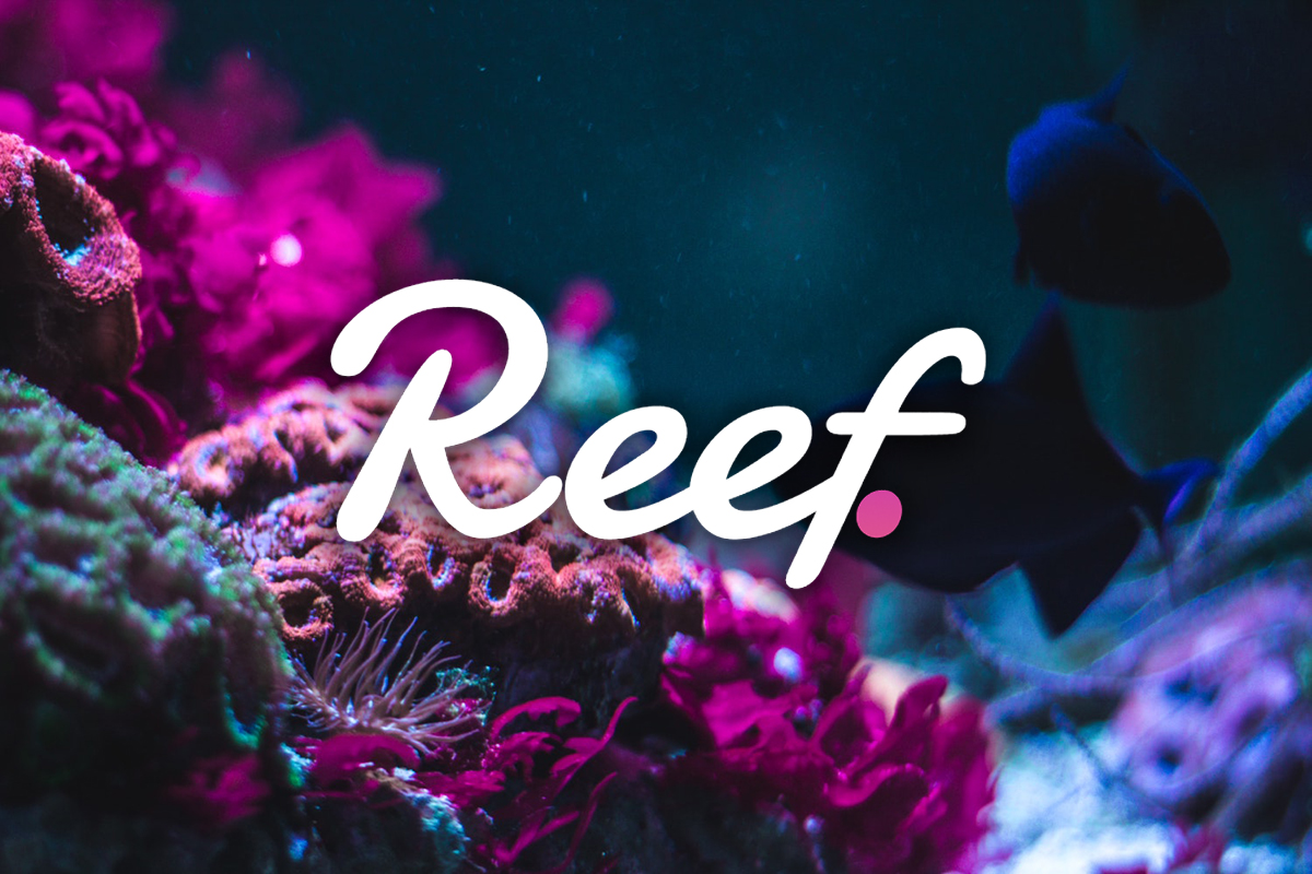 reef.jpg