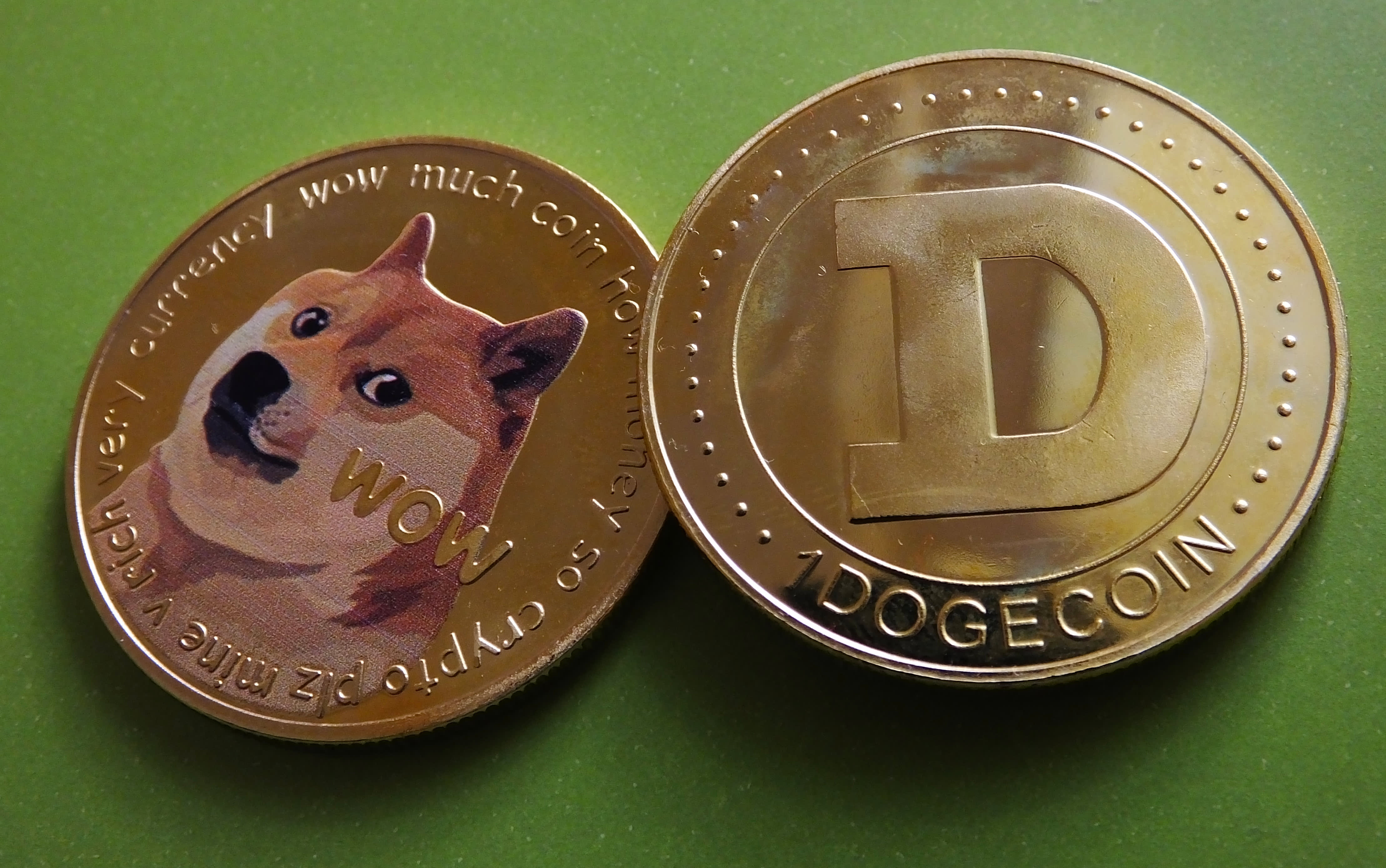 dogecoin-barry-silbert.jpeg