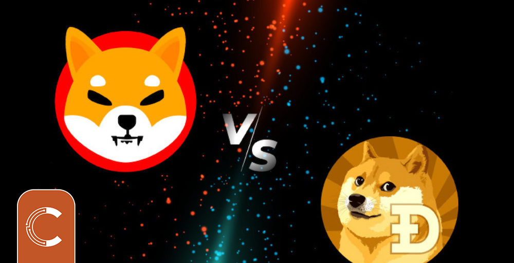 doge-vs-shib-1000x512.jpg