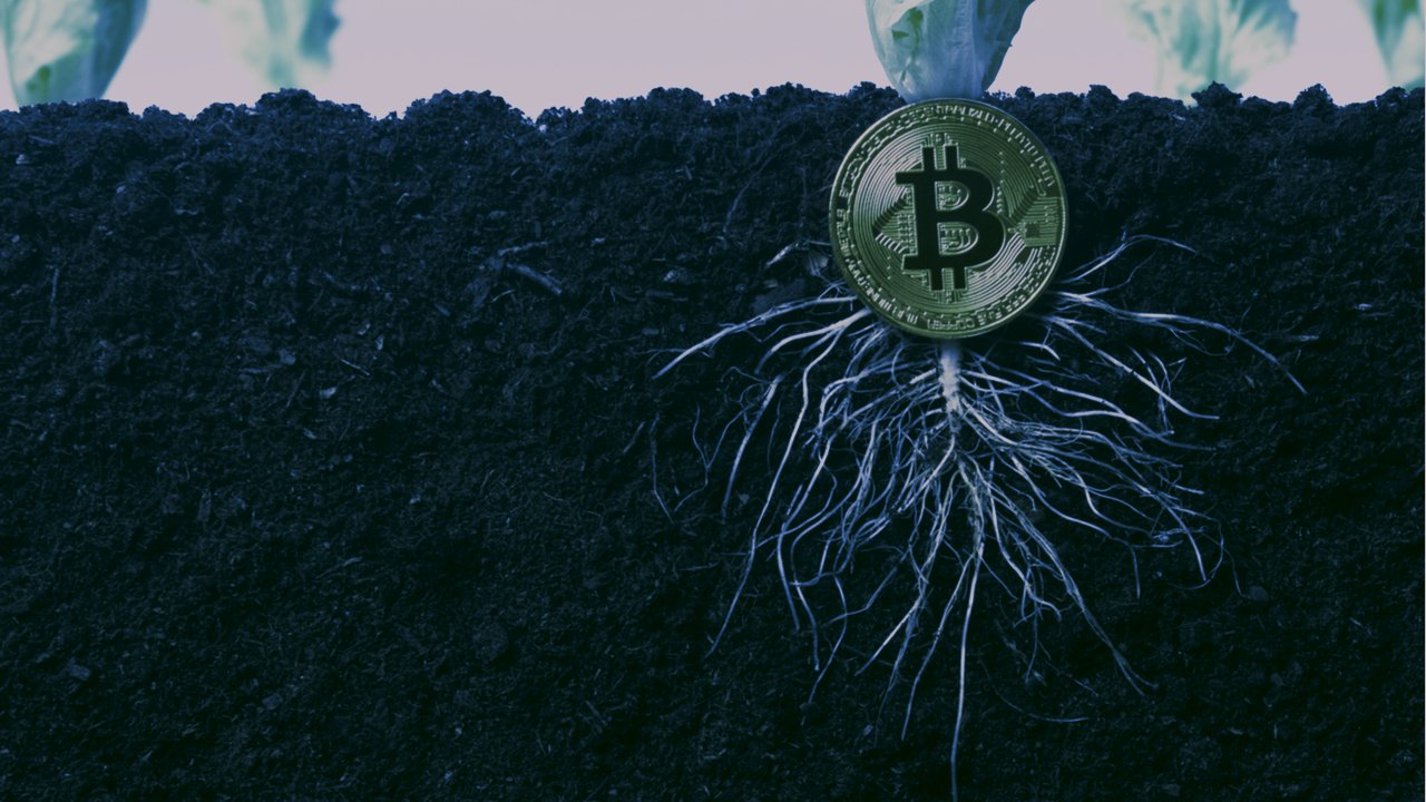 taproot-bitcoin.jpeg