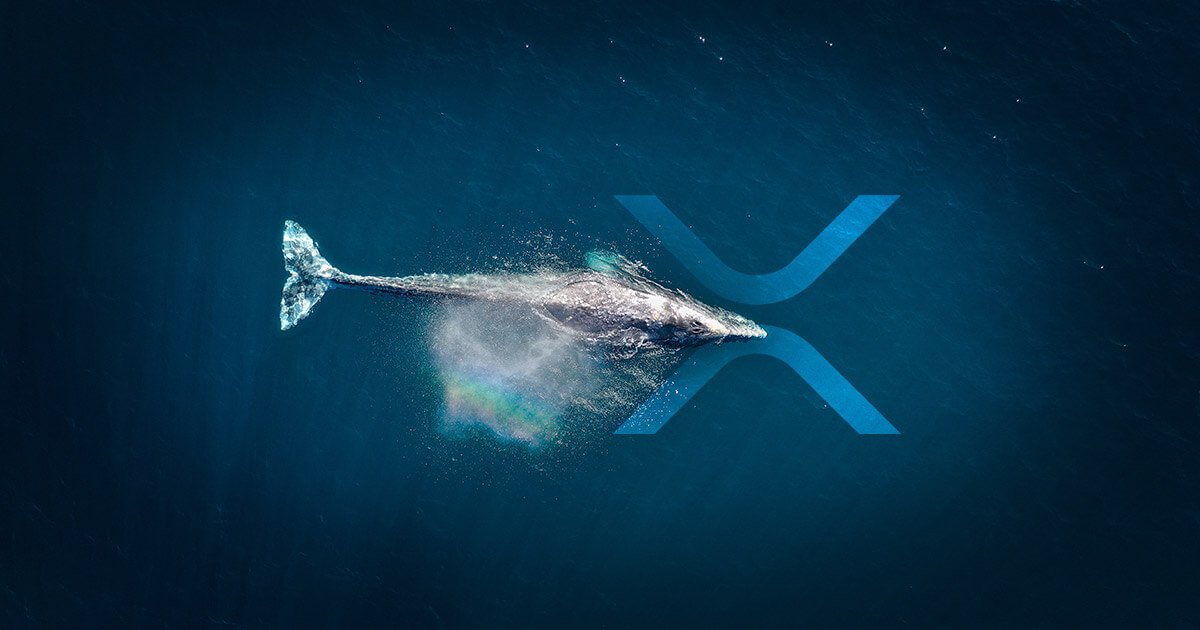 xrp-whale.jpg