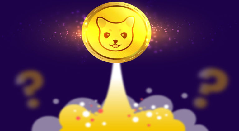 kishu inu coin coinmarketcap