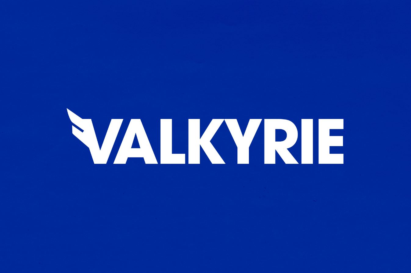 Valkyrie Investments Gbtcye Sponsor Olmak Ve Yönetmek İstiyor