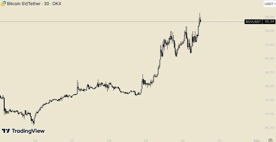 bsv kripto