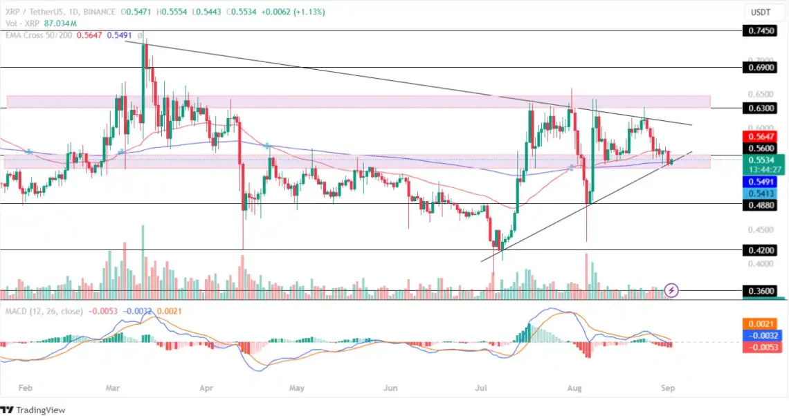 XRP grafik analizi