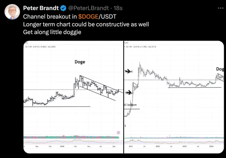 dogecoin doge analist