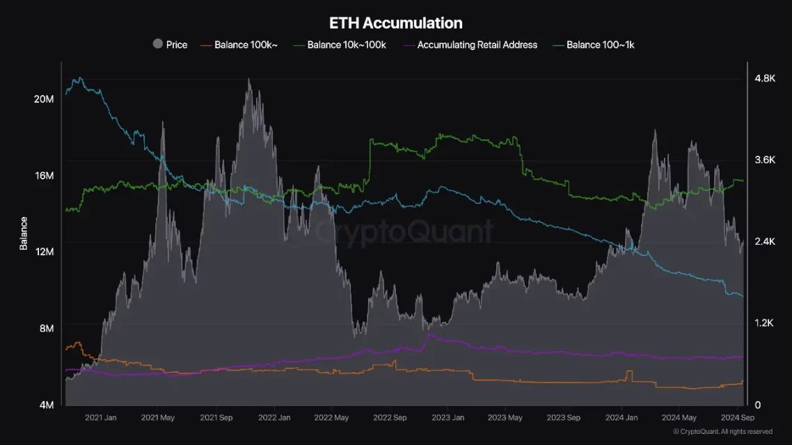 eth balina veri istatistik