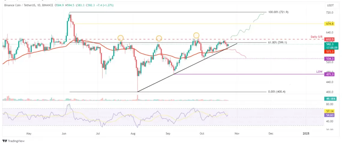 BNB coin grafik